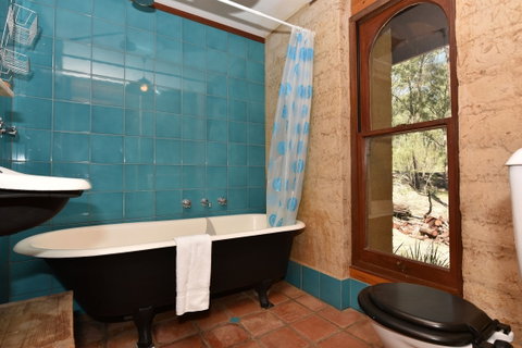 Corymbia - Accommodation Daintree 2