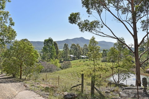 Corymbia - Accommodation Daintree 4