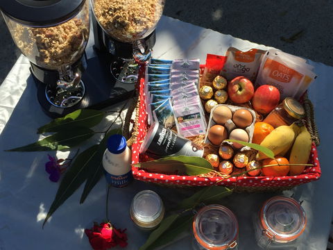 Fig Tree Retro Studio - Accommodation Daintree 2