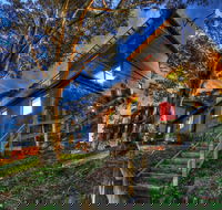 Golden Eagle 2 - Accommodation Daintree