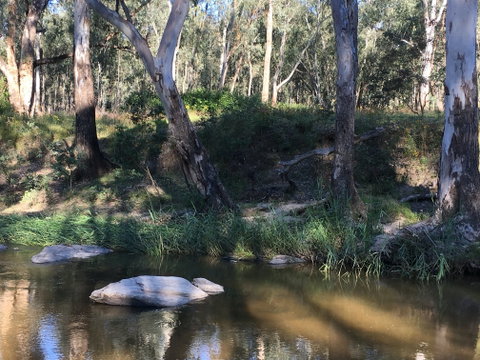 Highfield Farm And Woodland Bush Campsites - Accommodation Daintree 1