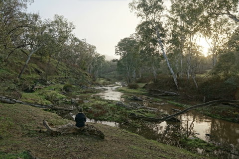 Highfield Farm And Woodland Bush Campsites - Accommodation Daintree 2