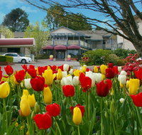 Nesuto Leura Gardens Hotel - Accommodation Daintree