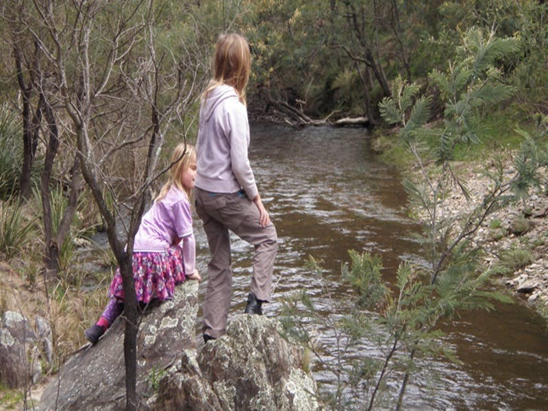 Arkstone NSW Accommodation Daintree