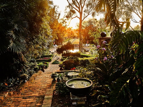 The Regents Park - Accommodation Daintree 5
