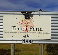 Tiandi Wildlife Sanctuary Farm Stay - Jambalaya Cottage - Accommodation Daintree