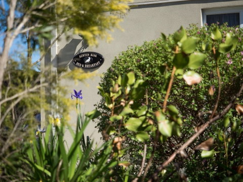 Austin Rise B&B - Accommodation Daintree 1