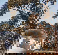 Coonawarra Bubble Tents - Accommodation Daintree