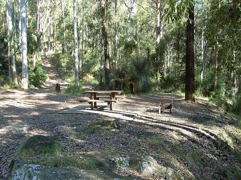 Gap Creek Campground - Accommodation Daintree 1
