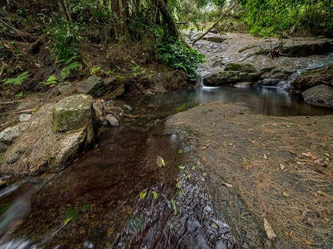 Jacky Barkers Campground - Accommodation Daintree 1