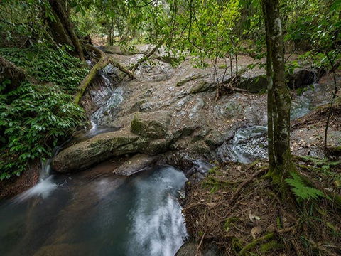 Jacky Barkers Campground - Accommodation Daintree 3