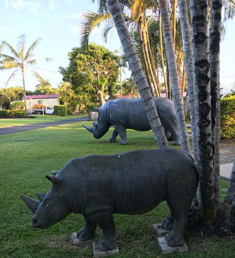 Sarina Palms Caravan Village - Accommodation Daintree 9