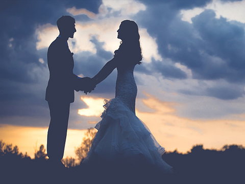 Tombarra Centre - Accommodation Daintree 2