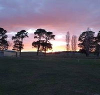 Braidwood Showground - Caravans and Camping - Accommodation Daintree