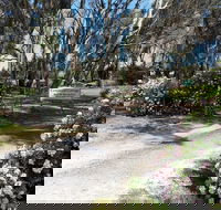 Camawald Coonawarra Cottage BB - Accommodation Daintree