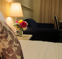 Dalby Mid Town Motor Inn - Accommodation Daintree