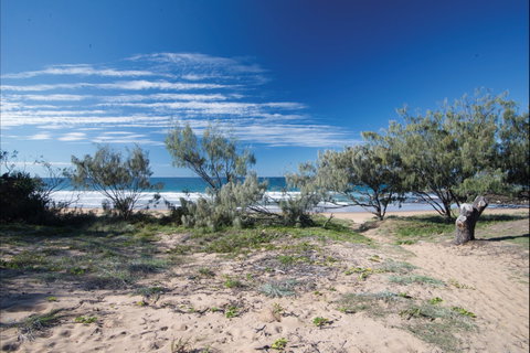 Deepwater National Park Camping - Accommodation Daintree 0