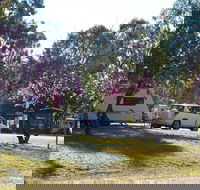 Eidsvold Caravan Park - Accommodation Daintree