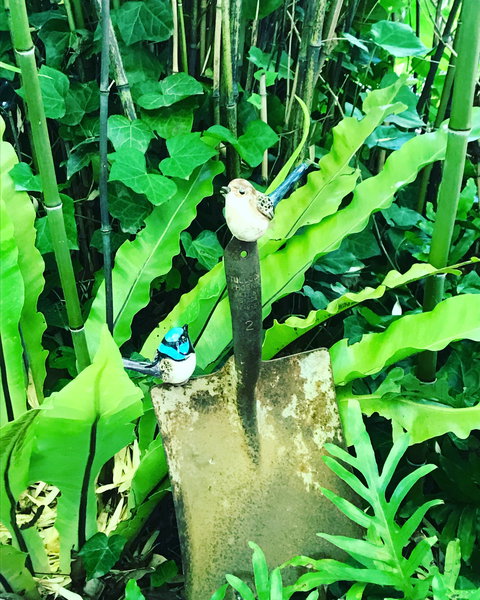 Aldgate Valley Bed And Breakfast - Accommodation Daintree 2