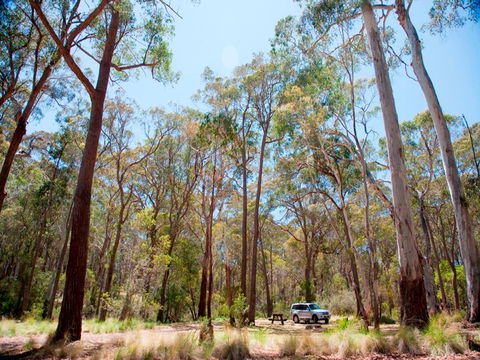 Coolah Tops National Park Camping - Accommodation Daintree 0