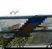 Hatters Hideout Lyres Loft - Accommodation Daintree