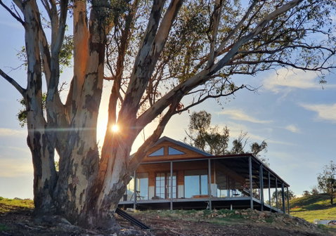 Kestrel Nest EcoHut - Accommodation Daintree 0