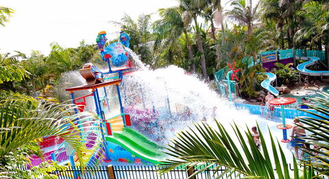 North Star Holiday Resort - Accommodation Daintree 1