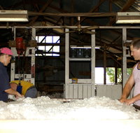 Pelican Sheep Station - Accommodation Daintree