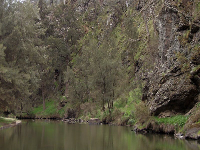 Lower Boro NSW Accommodation Daintree