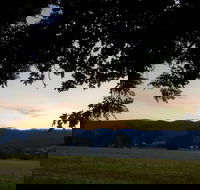 The Cabin at Gentle Annie - Accommodation Daintree