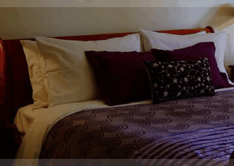 Erravilla Country Estate - Accommodation Daintree 1