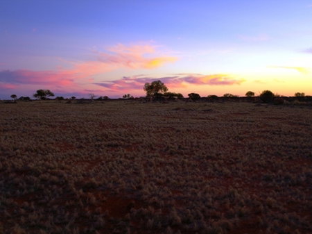 Wogarno Homestead - Accommodation Daintree 0