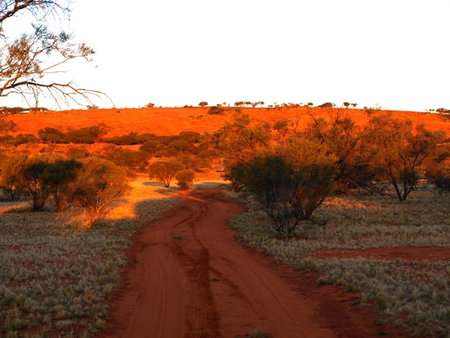 Wogarno Homestead - Accommodation Daintree 1