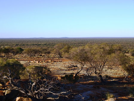 Wogarno Homestead - Accommodation Daintree 2
