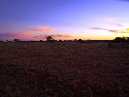 Wogarno Homestead - Accommodation Daintree 4