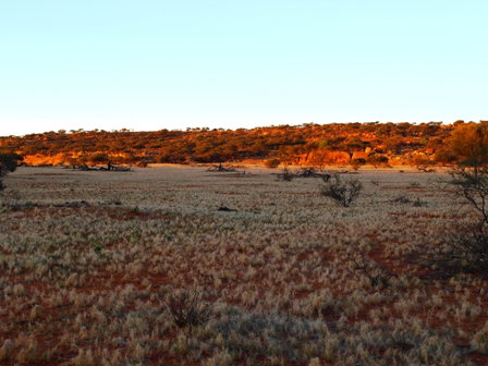 Wogarno Homestead - Accommodation Daintree 5