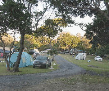 Flat Rock Tent Park - Accommodation Daintree 3