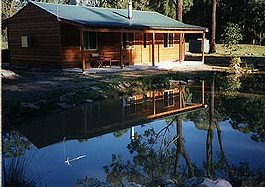 Bush Haven - Accommodation Daintree 2