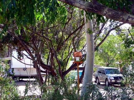 Kojonup Caravan Park - Accommodation Daintree 1