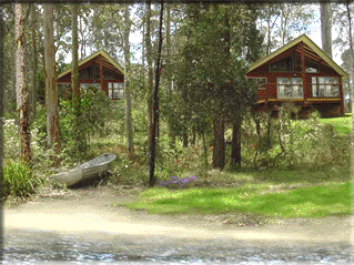Bewong River Retreat - Accommodation Daintree 4