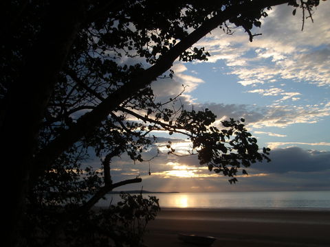 Armstrong Beach Caravan Park - Accommodation Daintree 0