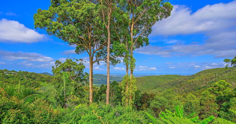 Cloud 9 Cliff Top Eagle Heights - Accommodation Daintree 1
