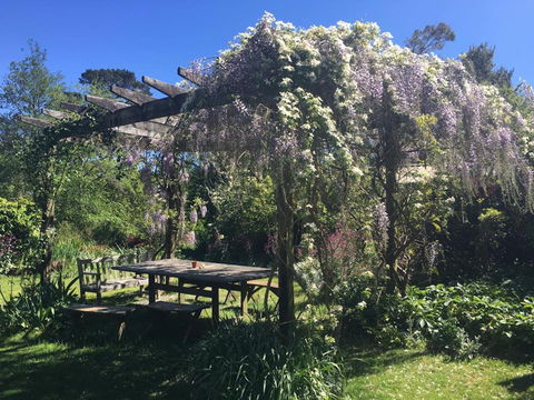 Hawthorne Cottage: Blackheath - Accommodation Daintree 2