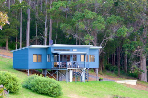Karrak Reach Forest Retreat - Accommodation Daintree 0