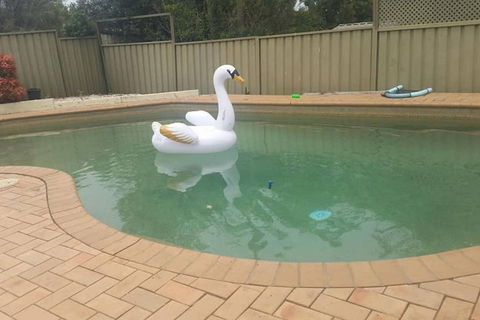 Landy's Holiday House - Accommodation Daintree 0