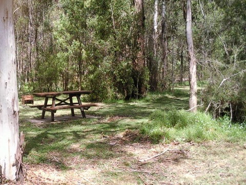 Mulloon Creek Campground - Accommodation Daintree 0