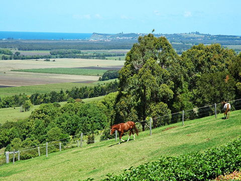 Pindara Estate - Accommodation Daintree 2