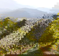 Rosetta's Garden Guesthouse - Accommodation Daintree