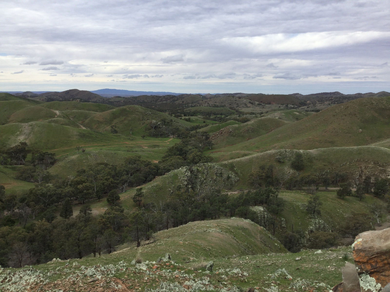 Flinders Ranges And Outback SA Accommodation Daintree
