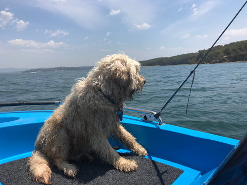Tommy's Lakehouse - Accommodation Daintree 2